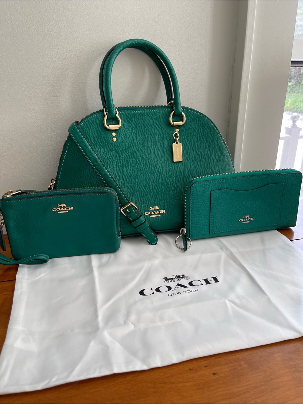 Coach Green Bundle: excellent